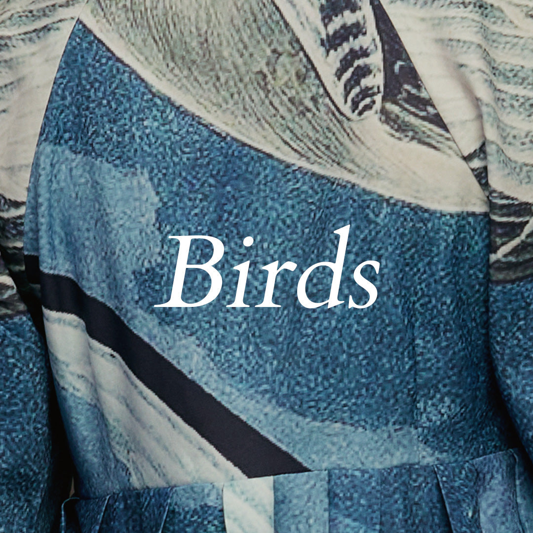 Bird Prints