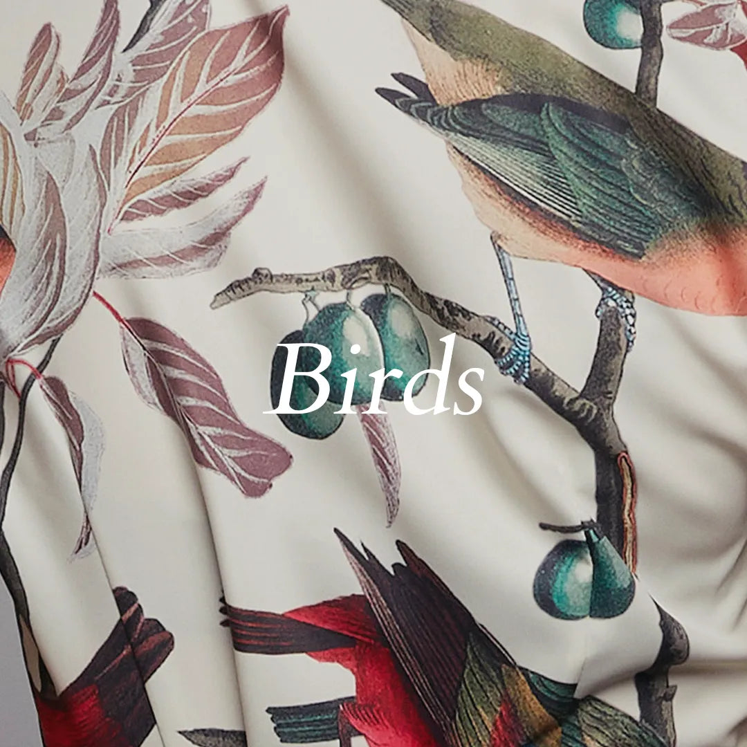Bird Prints