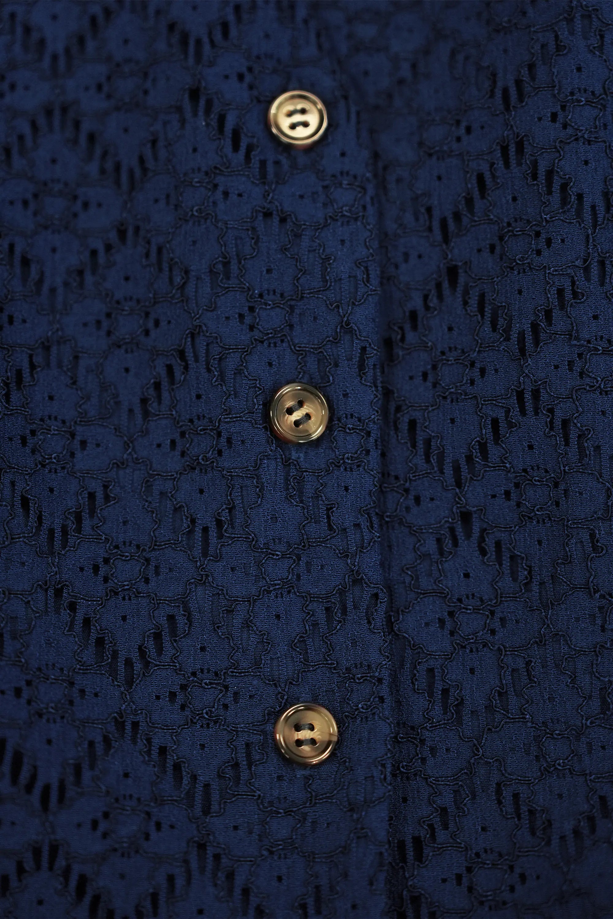 ABIDE navy lace midi dress button placket with textured lace detail (close-up)