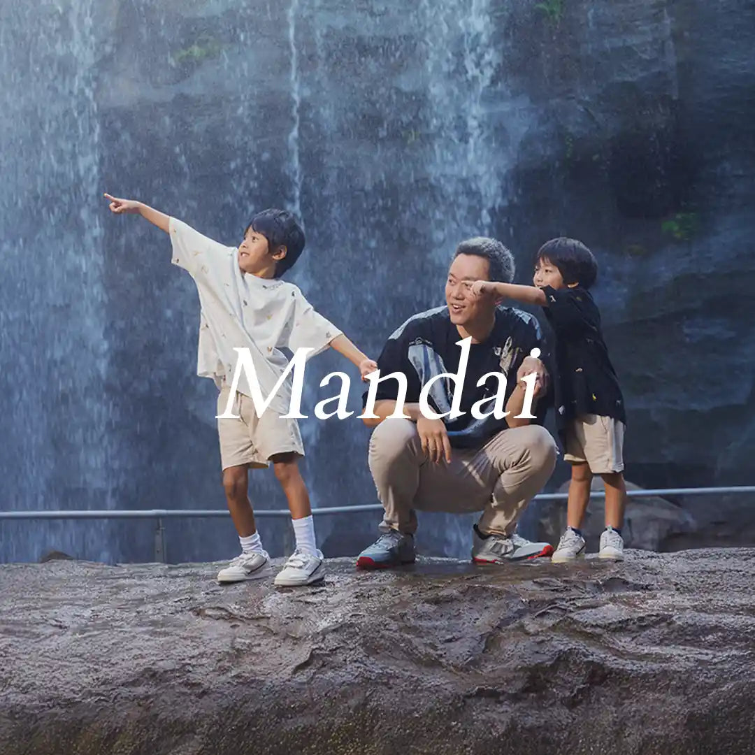 Mandai Wildlife Reserve x Reckless Ericka