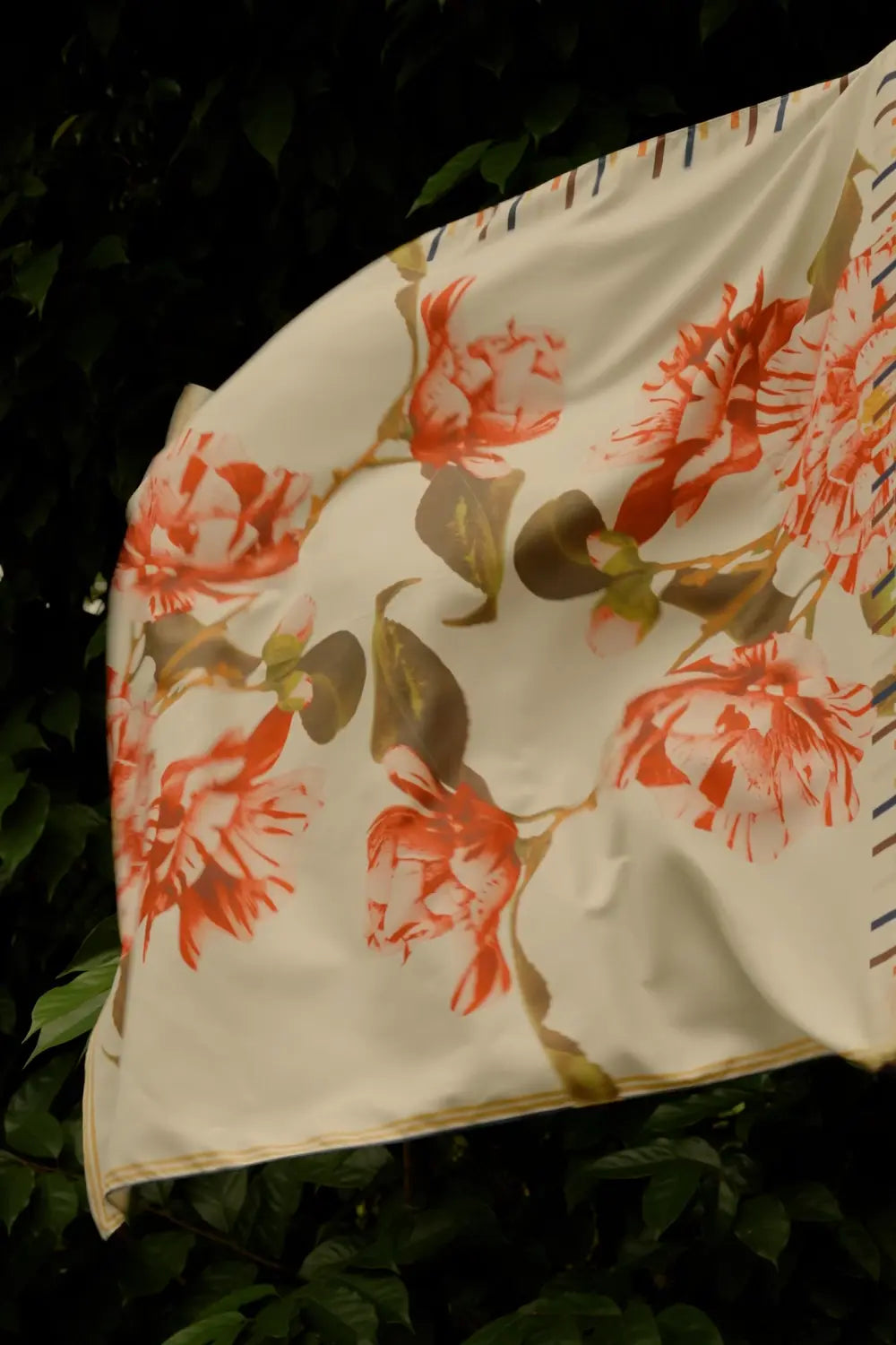 Furoshiki (Striped Camellia)