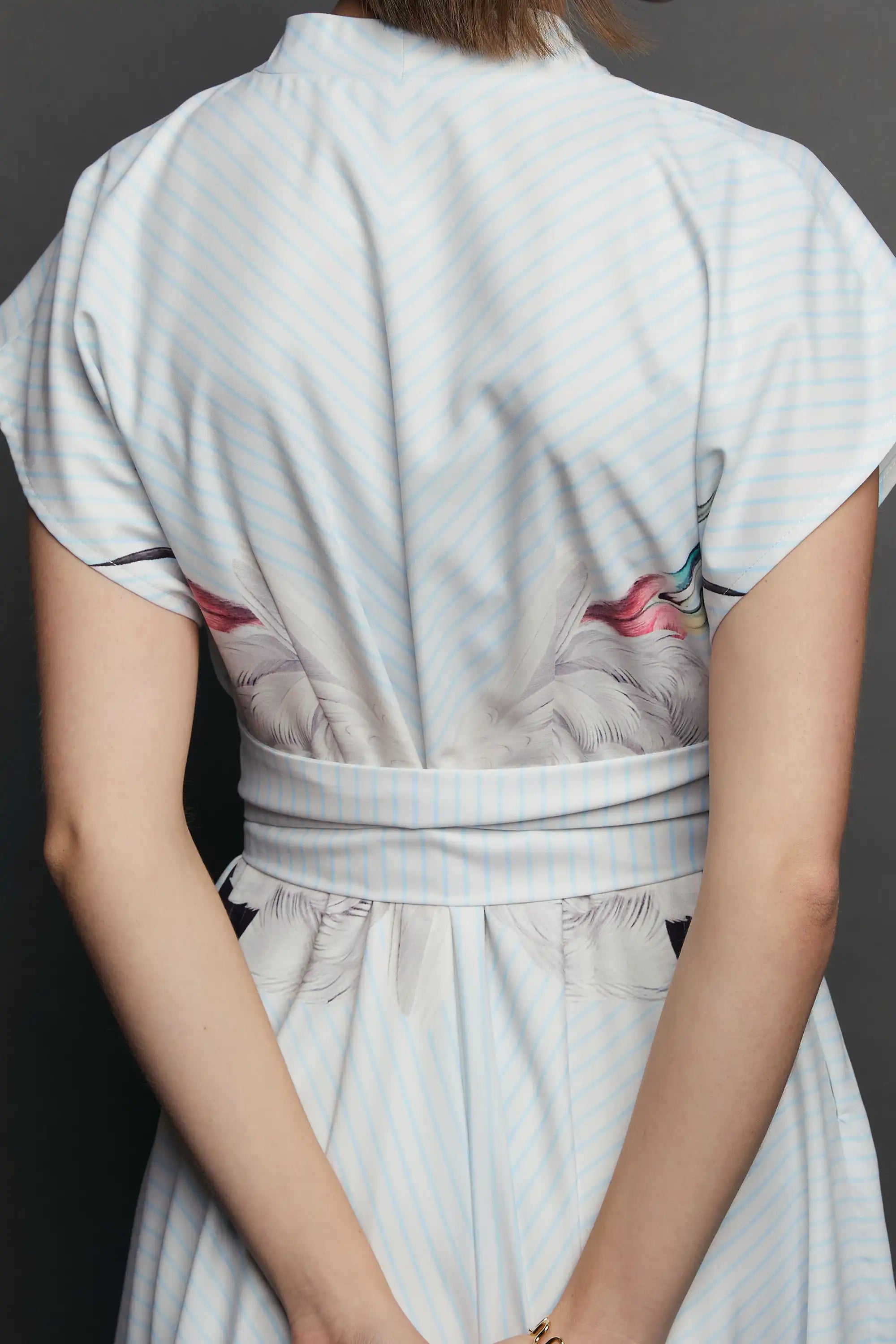 Blended Collar Fit & Flare Dress (Whooping Crane)