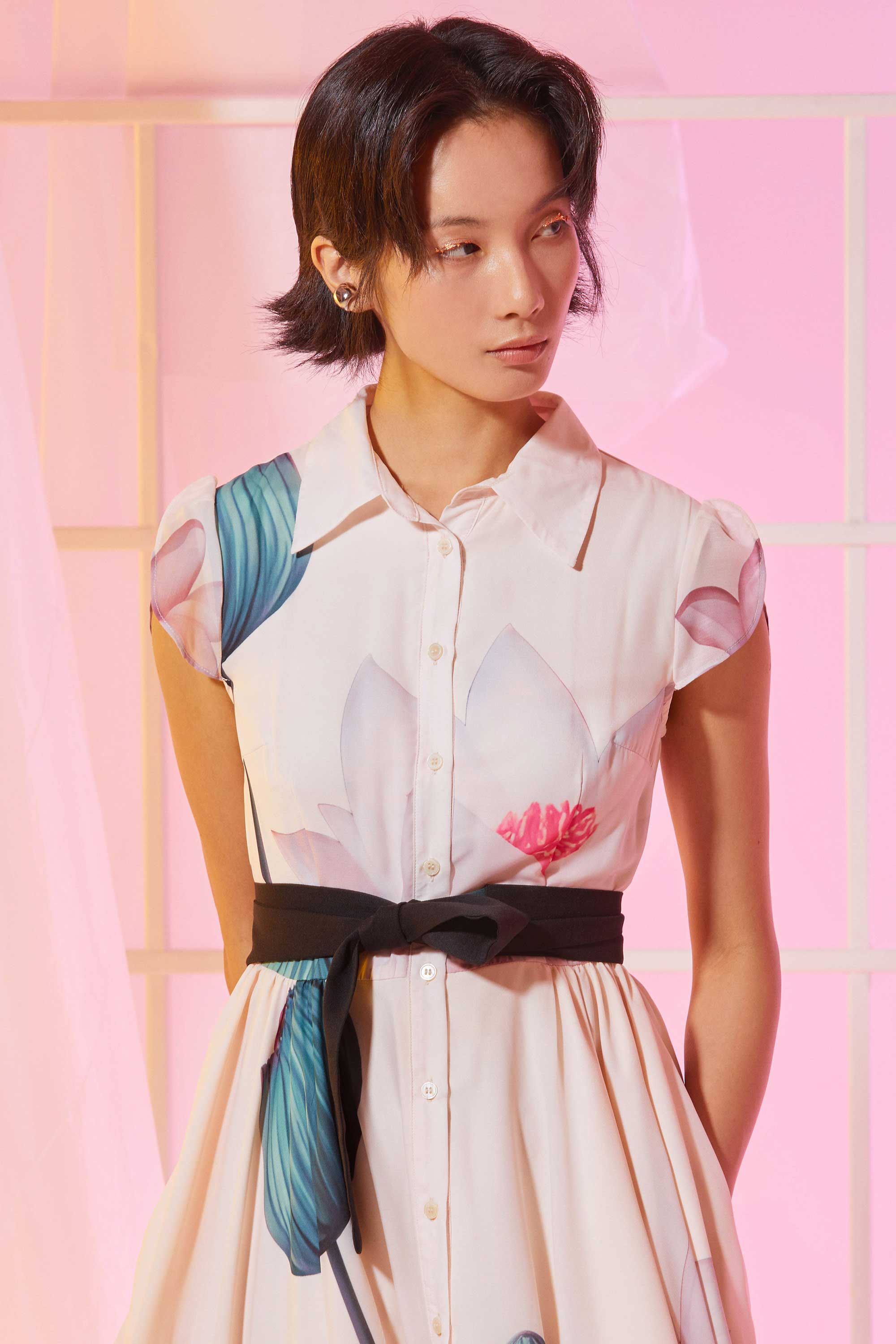 Snowdrop Sleeves Shirtwaist Dress (Diffusion)
