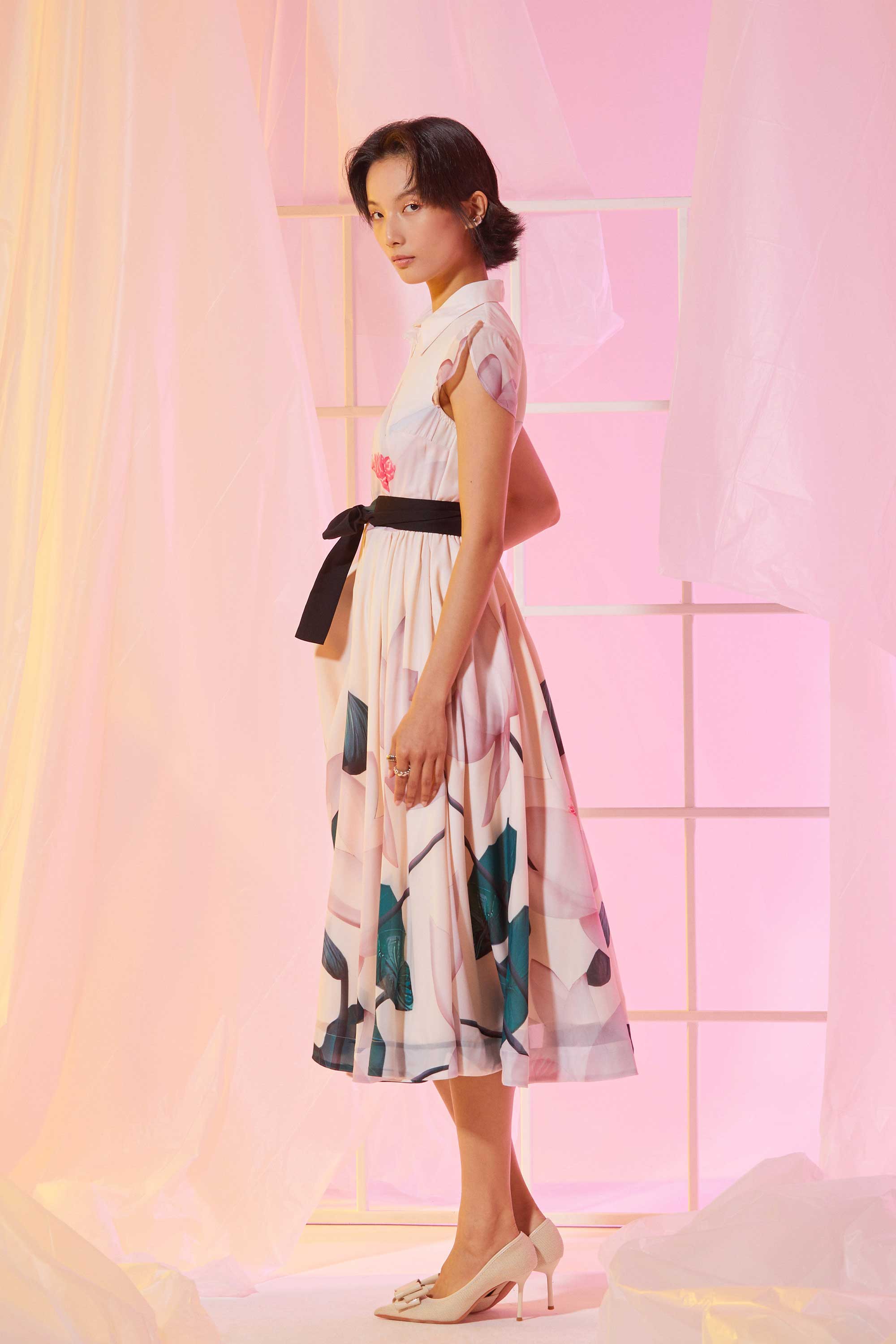 Snowdrop Sleeves Shirtwaist Dress (Diffusion)