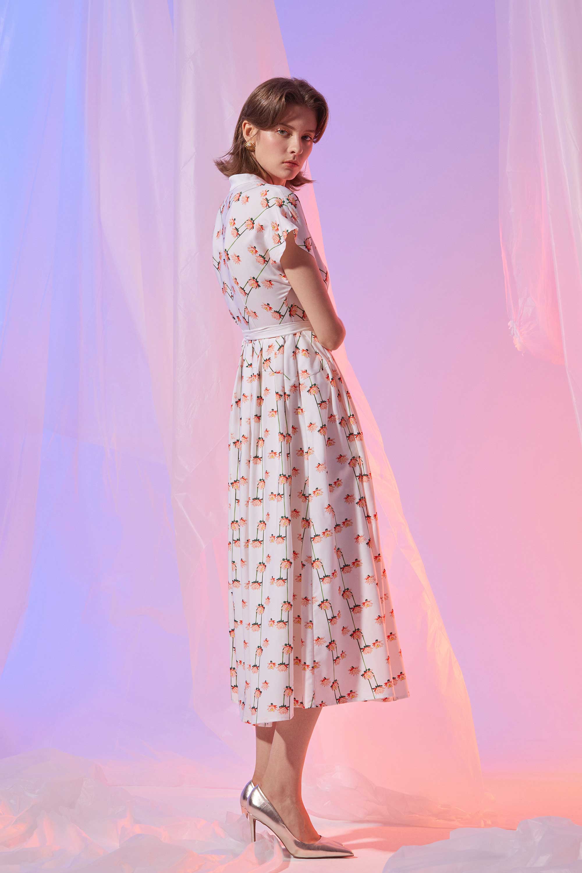 Chinese Collar Fit & Flare Maxi Dress (Prism)