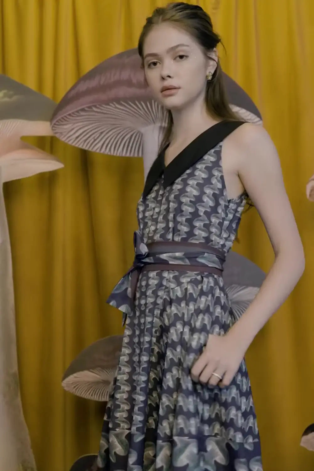 Portrait Collar Dress (Shiitake)